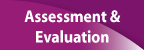 Assessment Evaluation