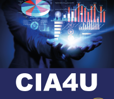 Cia4u Economic Issues.png