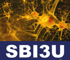 Sbi3u Biology 11.png