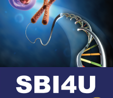 Sbi4u Biology 12.png