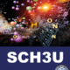 SCH3U – Grade 11 Chemistry  University Preparation  – Canadian Citizen/PR $549.00