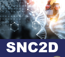 Snc2d Science 10.png